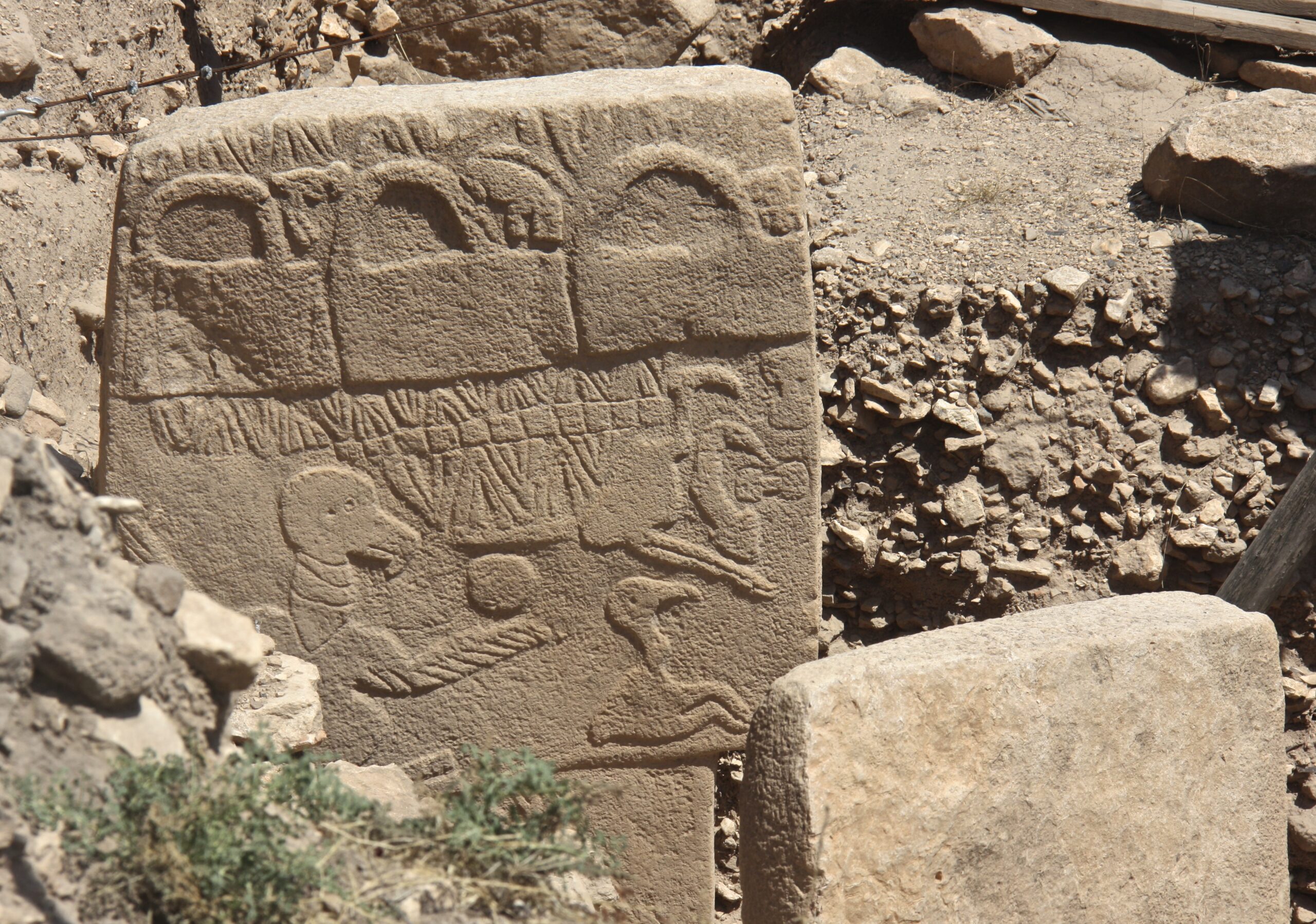 Carvings on Limestone Pillars within Göbekli Tepe