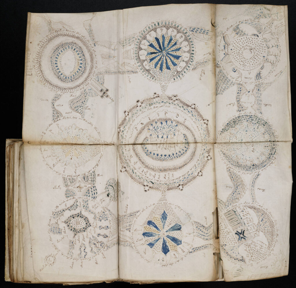 A page from the mysterious Voynich manuscript, which is undeciphered to this day.