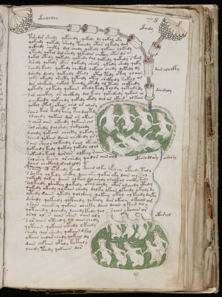 A page from the mysterious Voynich manuscript, which is undeciphered to this day.
